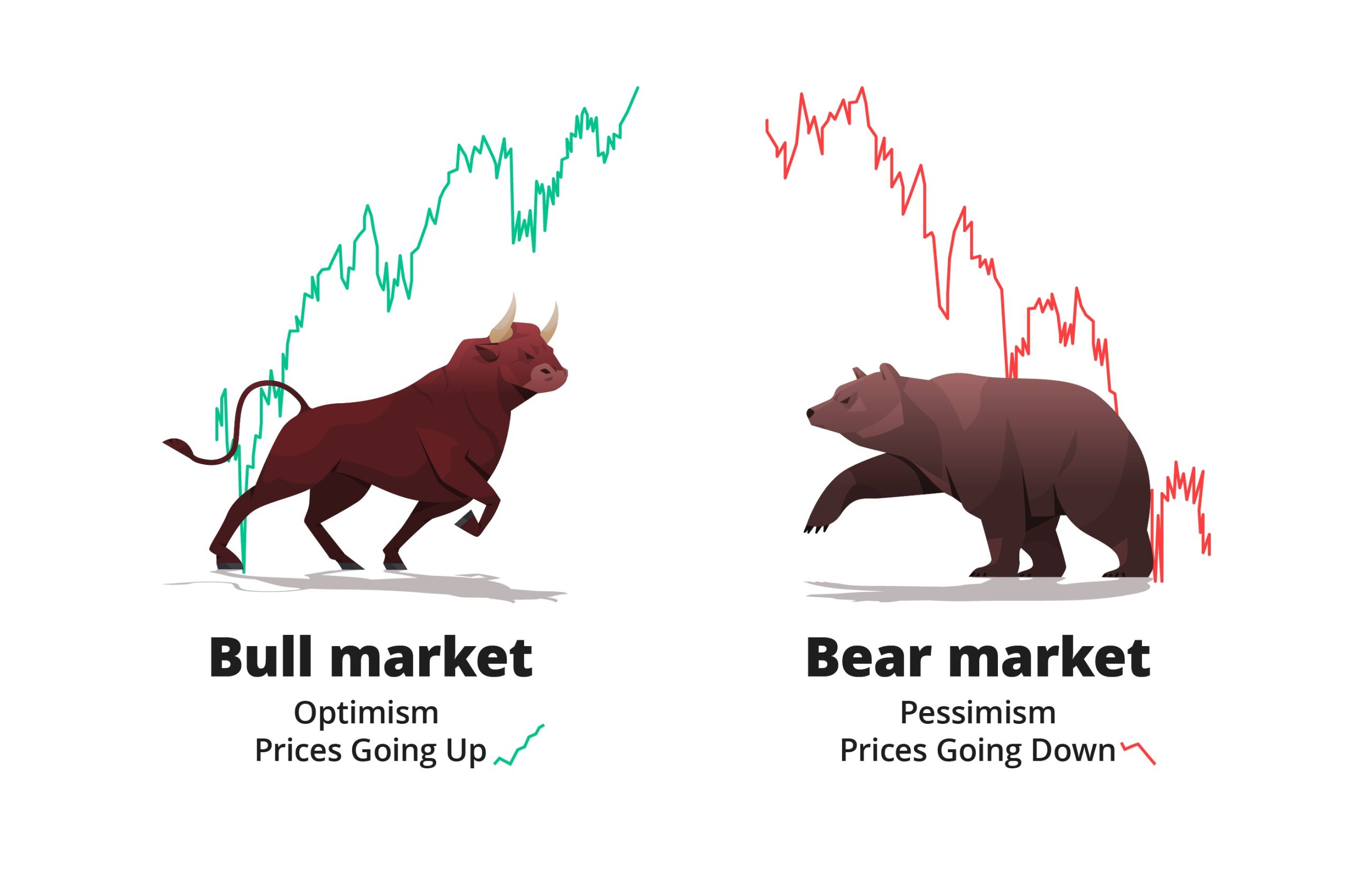 Investing in a Bear Market: Unlocking Opportunities Amidst the Storm